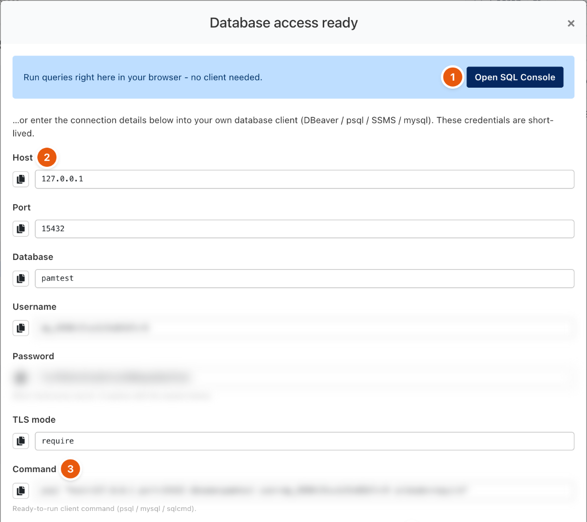 Database access ready dialog with SQL console and client details
