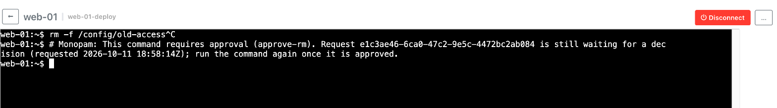 Terminal showing that rm requires approval