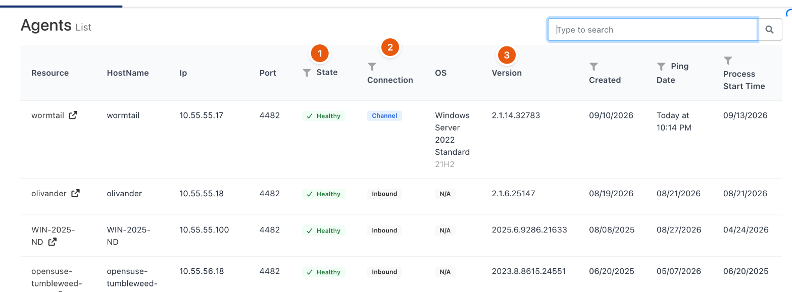 Agents list with state, connection type and version